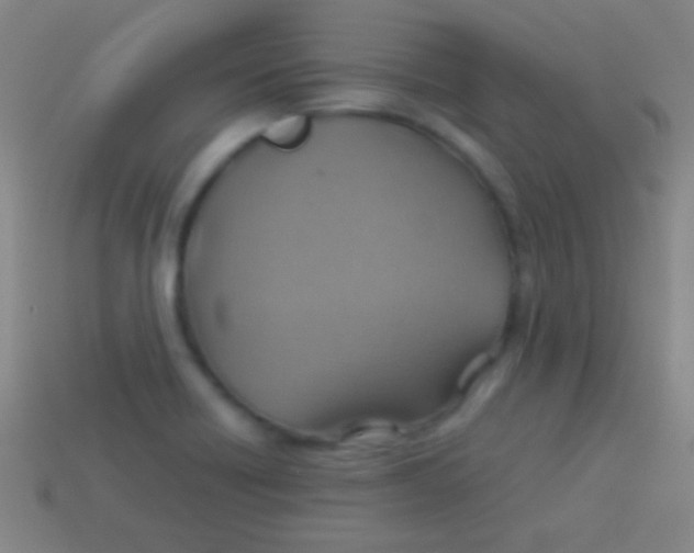 X0000113591418200910161833