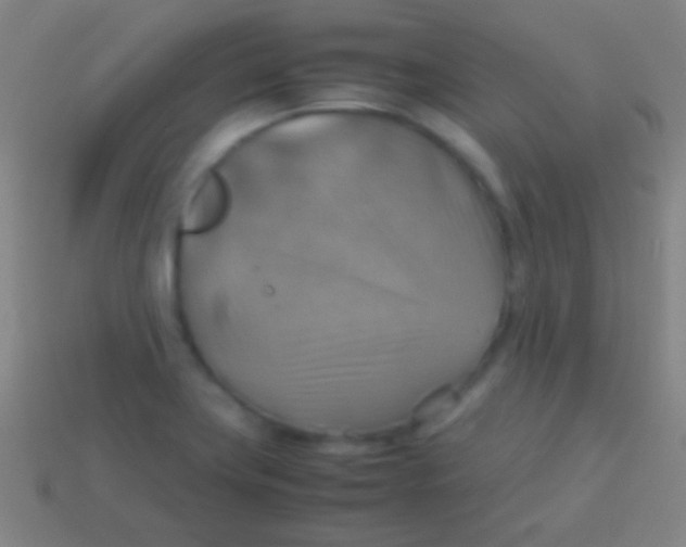 X0000113591419200910161833