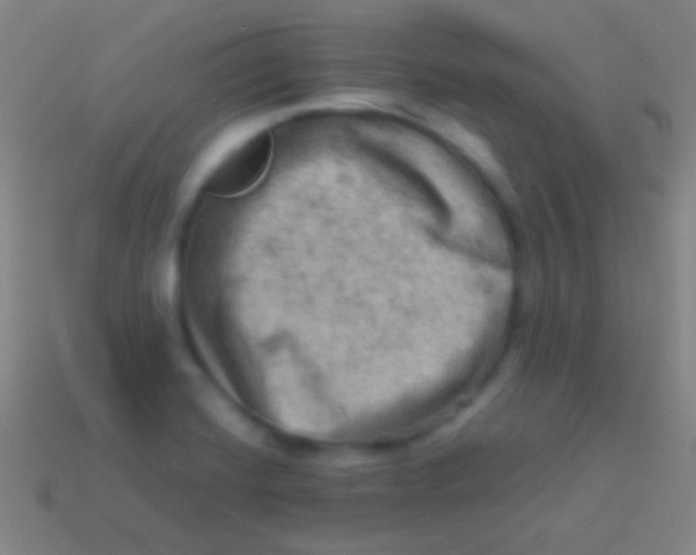 X0000113591420200910161833