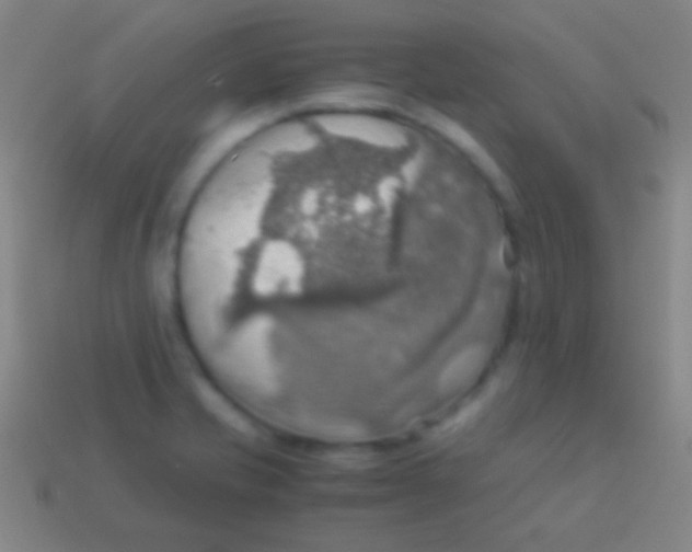 X0000113591421200910161833