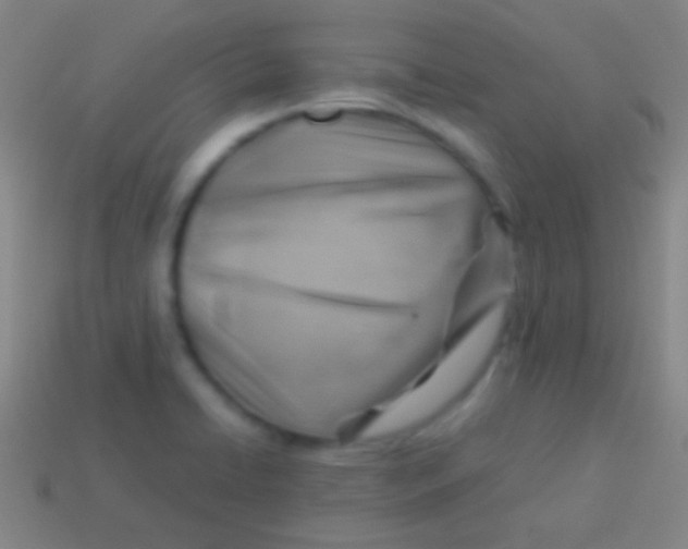 X0000113591422200910161833