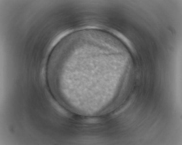 X0000113591423200910161833