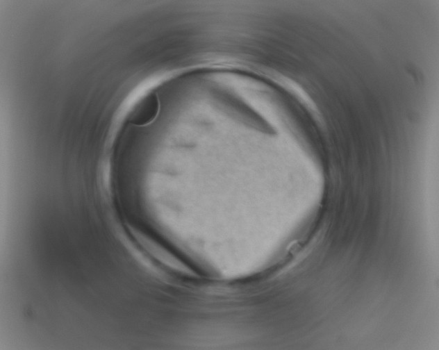 X0000113591424200910161833
