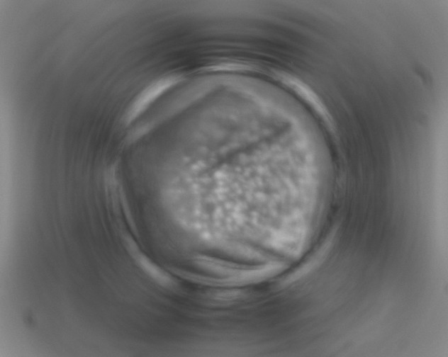 X0000113591425200910161833