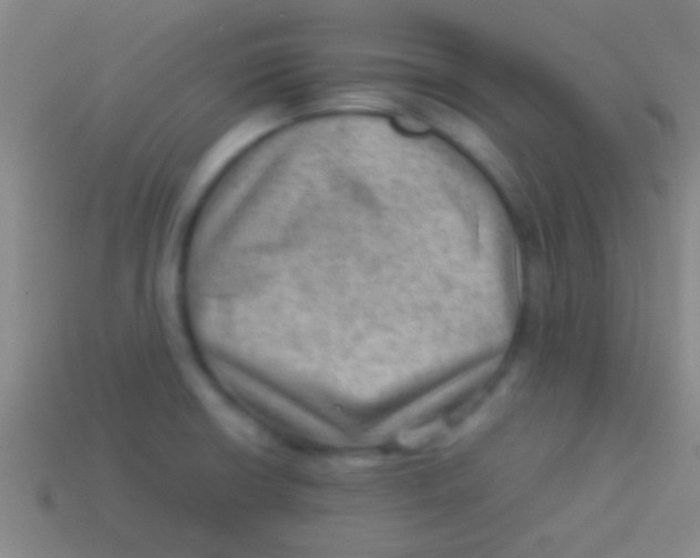 X0000113591426200910161833