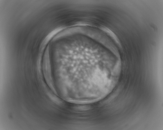 X0000113591427200910161833