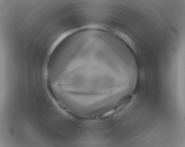 X0000113591428200910161833