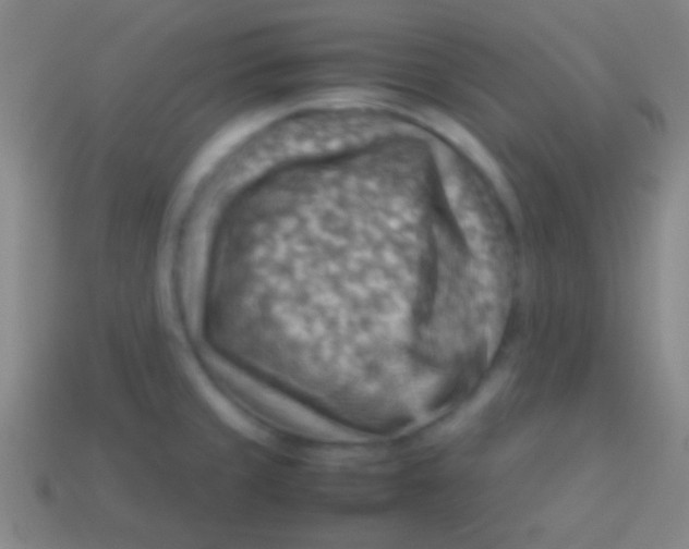 X0000113591429200910161833