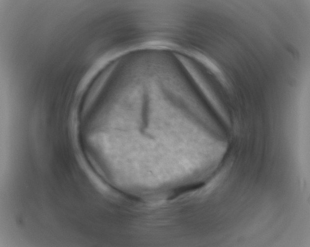 X0000113591430200910161833