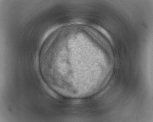 X0000113591431200910161833