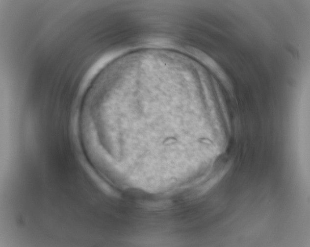 X0000113591432200910161833