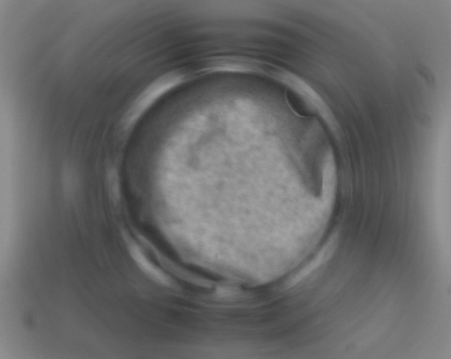 X0000113591433200910161833