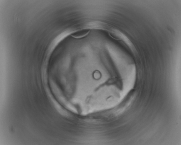 X0000113591434200910161833