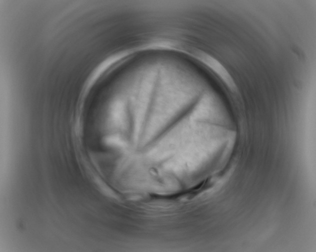 X0000113591436200910161833