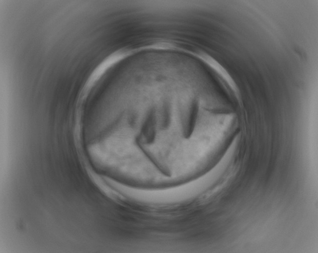 X0000113591437200910161833
