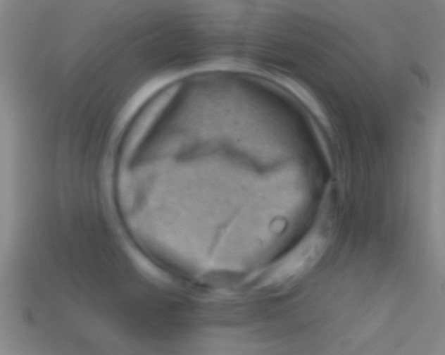 X0000113591438200910161833
