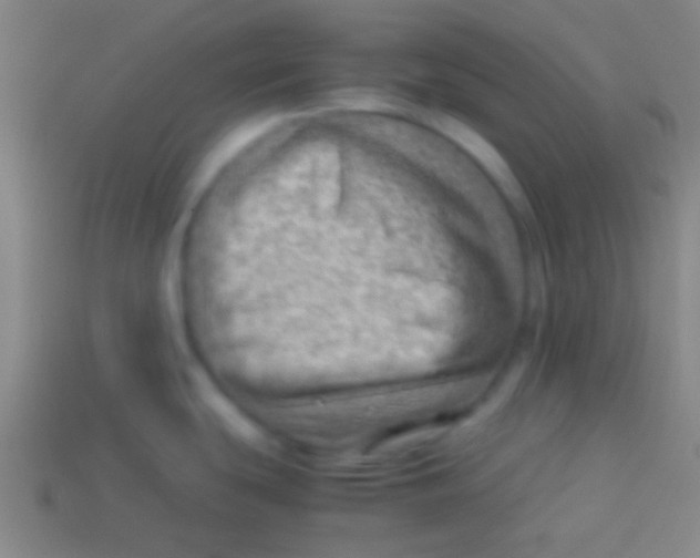 X0000113591439200910161833