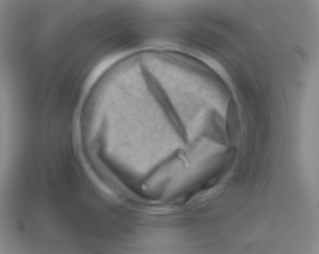 X0000113591440200910161833