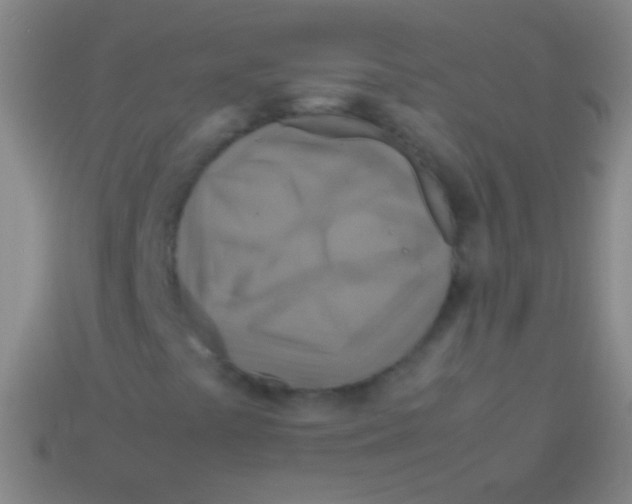 X0000113591441200910161832