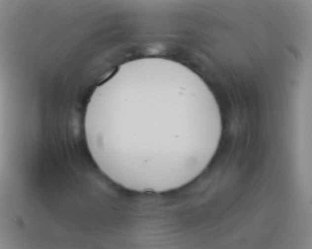 X0000113591442200910161832