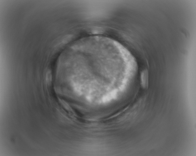 X0000113591443200910161832
