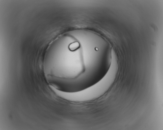 X0000113591444200910161832