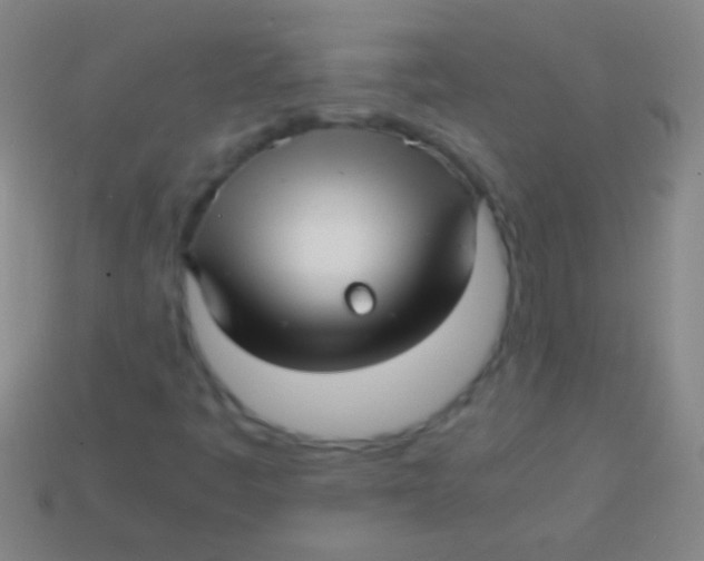 X0000113591445200910161832