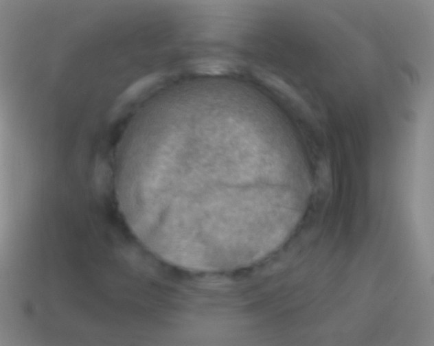 X0000113591446200910161832