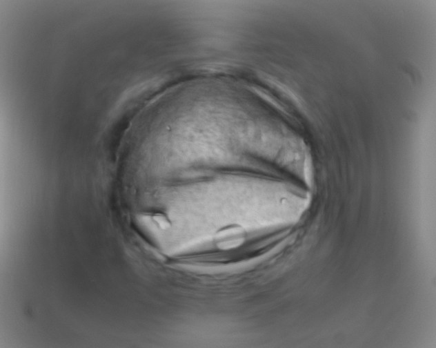 X0000113591447200910161832