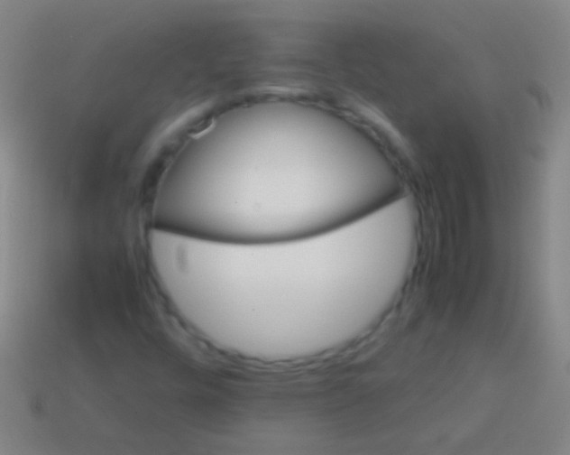 X0000113591448200910161832