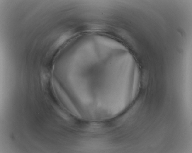 X0000113591449200910161832