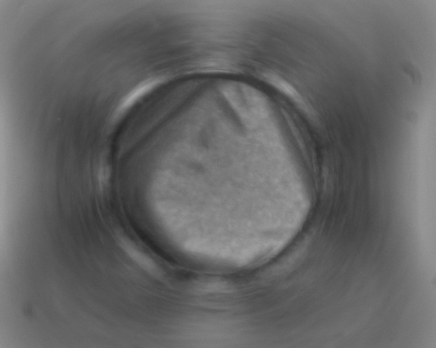 X0000113591450200910161832