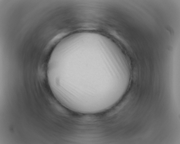 X0000113591451200910161832