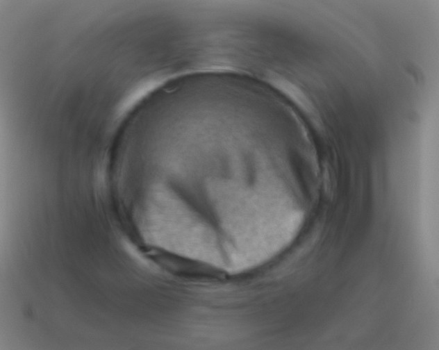 X0000113591452200910161832