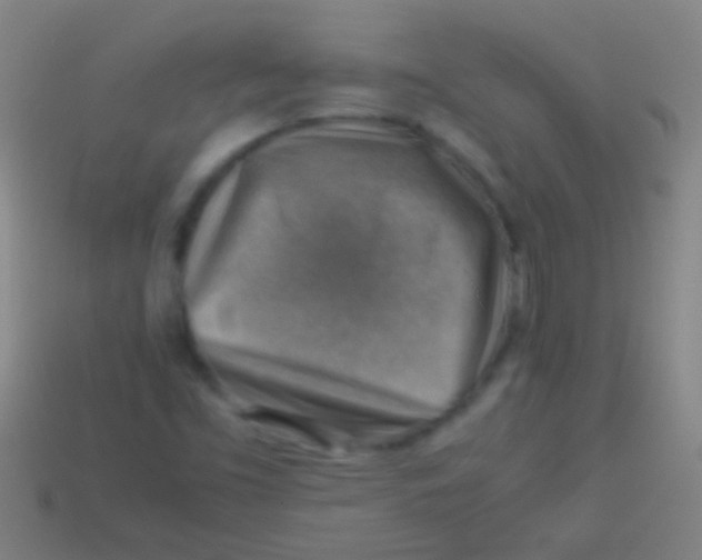 X0000113591453200910161832