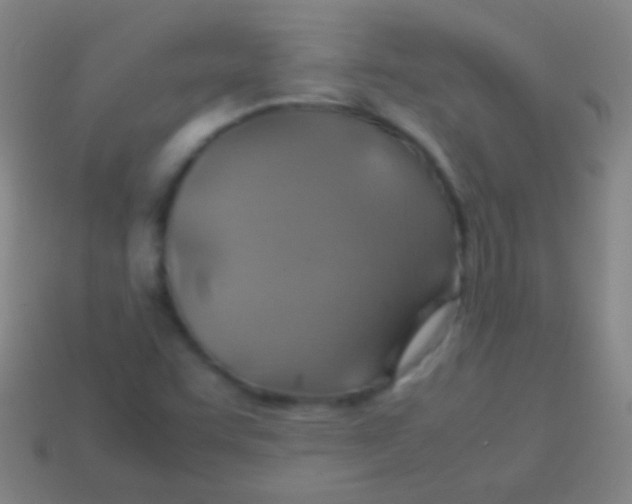 X0000113591455200910161832
