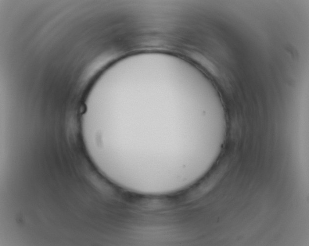 X0000113591458200910161832