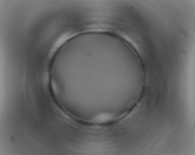 X0000113591459200910161832