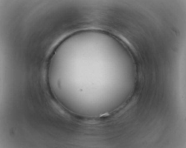 X0000113591460200910161832