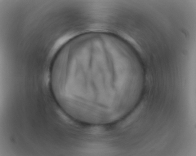 X0000113591461200910161832