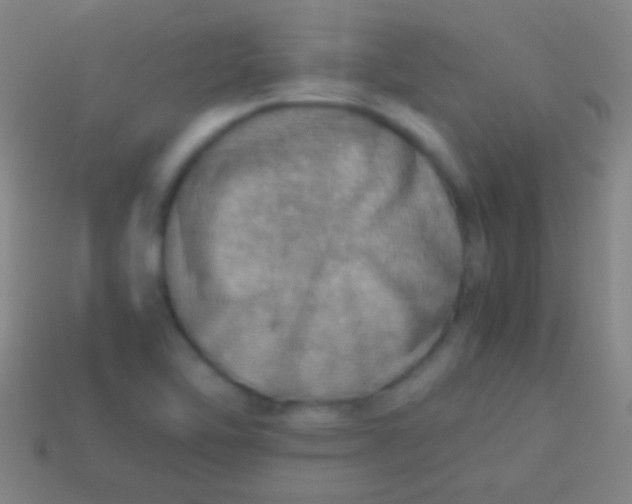 X0000113591462200910161832
