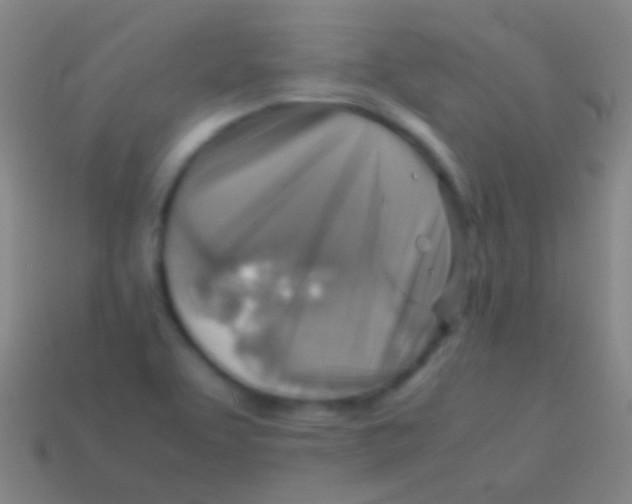 X0000113591463200910161832