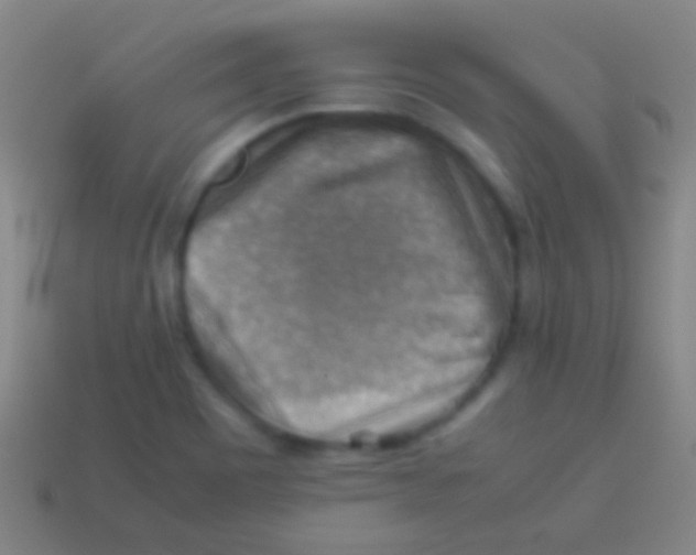 X0000113591465200910161832