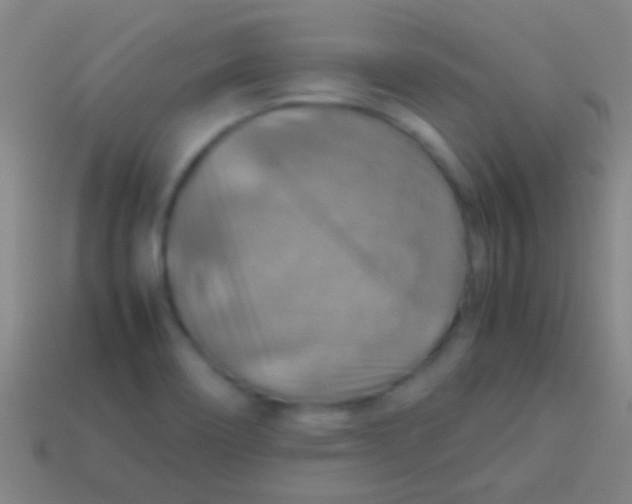 X0000113591466200910161832