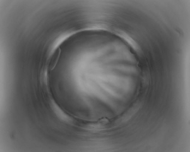 X0000113591468200910161832