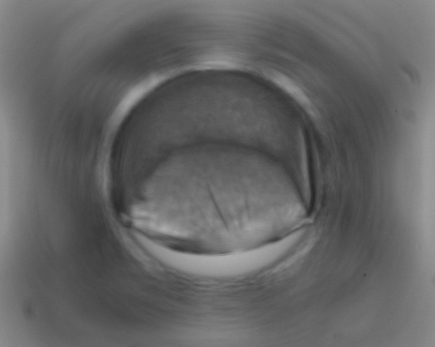 X0000113591469200910161832