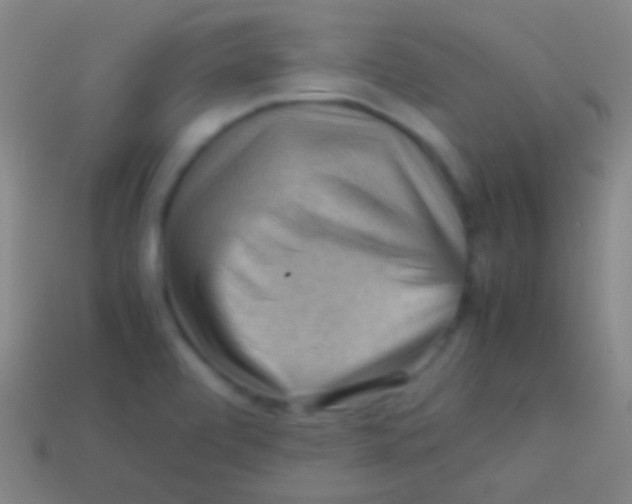 X0000113591472200910161832