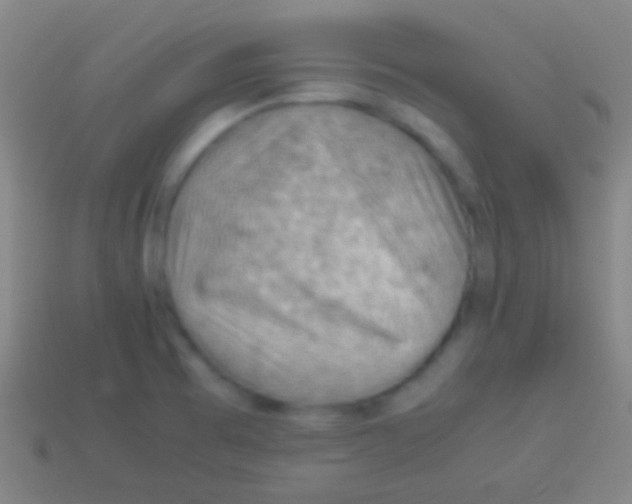 X0000113591473200910161832