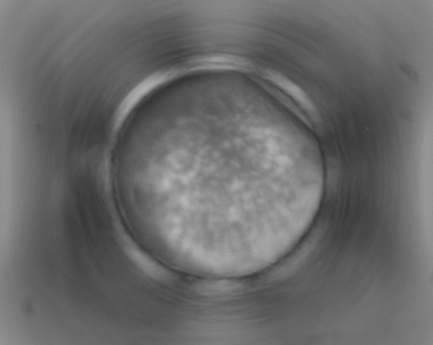 X0000113591474200910161832