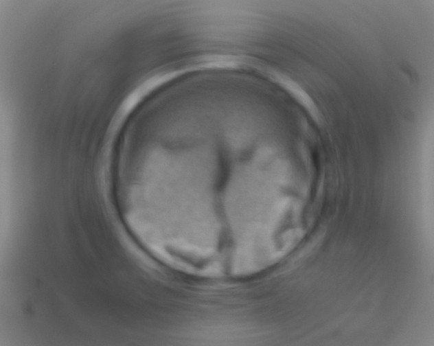 X0000113591475200910161832